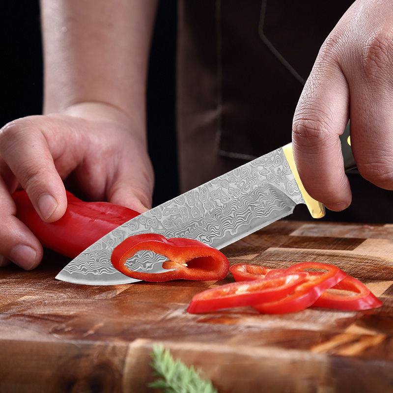 Nóż kuchenny Premium VG10 Dama – Home Cooking Japanese Food recenzja i cena